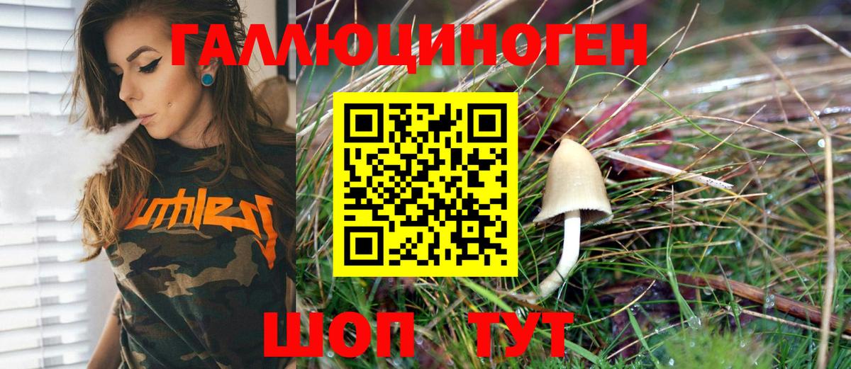 Псилоцибиновые грибы Magic Shrooms Тара