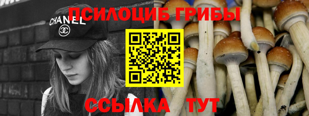 Тара  Галлюциногенные грибы GOLDEN TEACHER  где можно купить наркотик  Вход с VPN  Галлюциногенные грибы ЛСД 